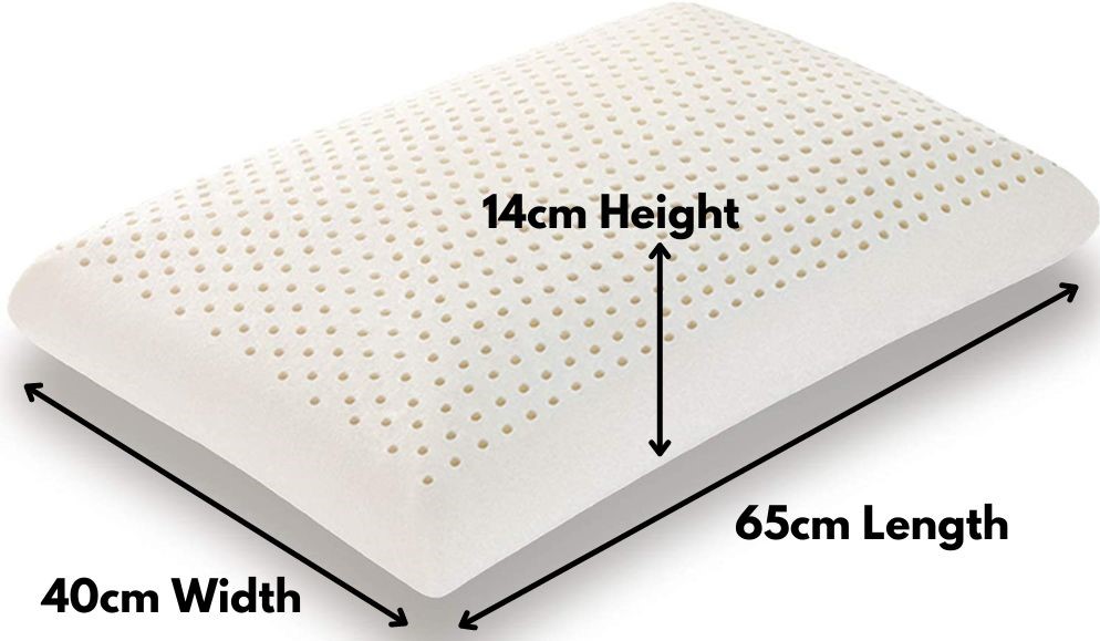 dunlop-latex-pillow-dimensions-cm dunlop latex pillow dimensions cm
